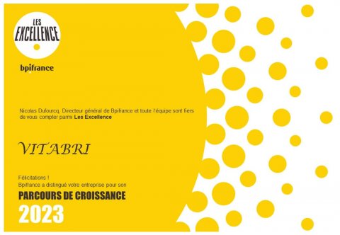 Diplôme BPI France Excellence